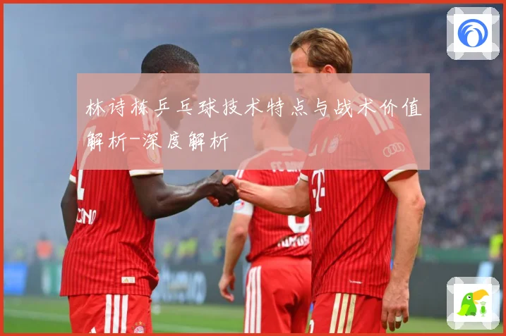 林诗栋乒乓球技术特点与战术价值解析-深度解析